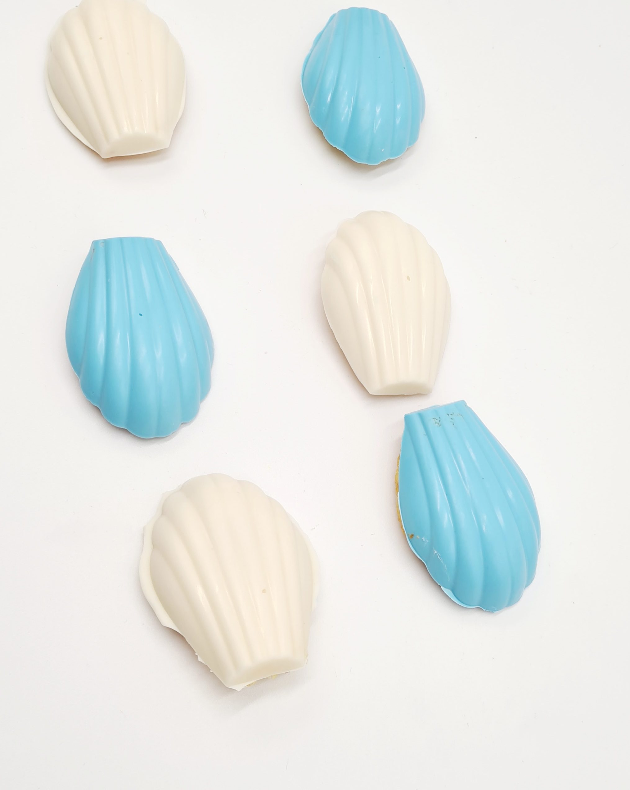 madeleines_NOTREPLAISIR