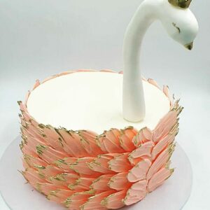 L.C Cygne Swan