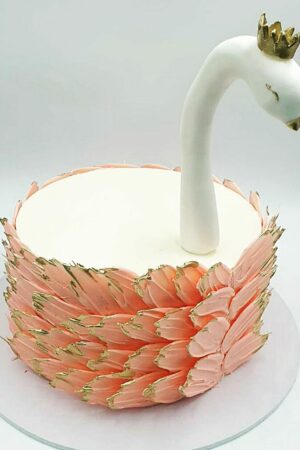 L.C Cygne Swan