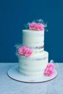 Naked cake