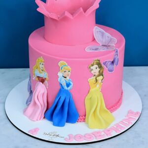 C.D Princesses Disney